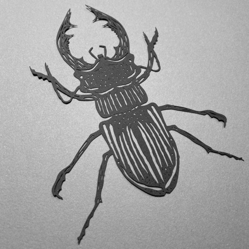 My stag beetle SVG design which has been papercut using a Silhouette Cameo machine